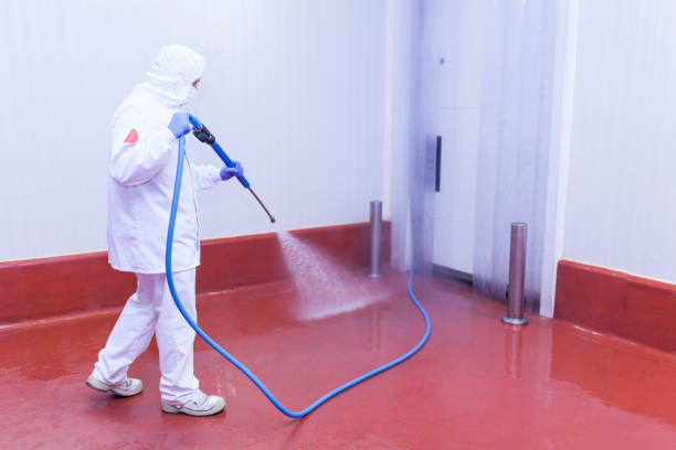 Best Sidewalk and Walkway Pressure Cleaning in Overton, TX