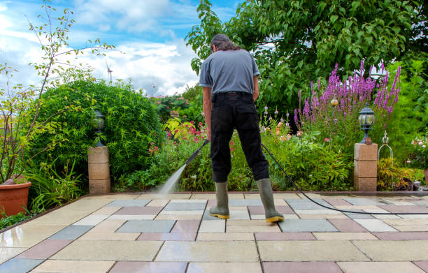 Best Driveway Cleaning and Restoration in Overton, TX